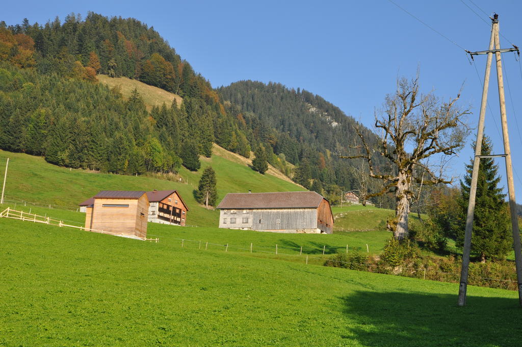 Gaestehaus Graf เบเซา ห้อง รูปภาพ